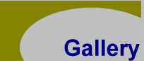 gallery.gif (3586 bytes)